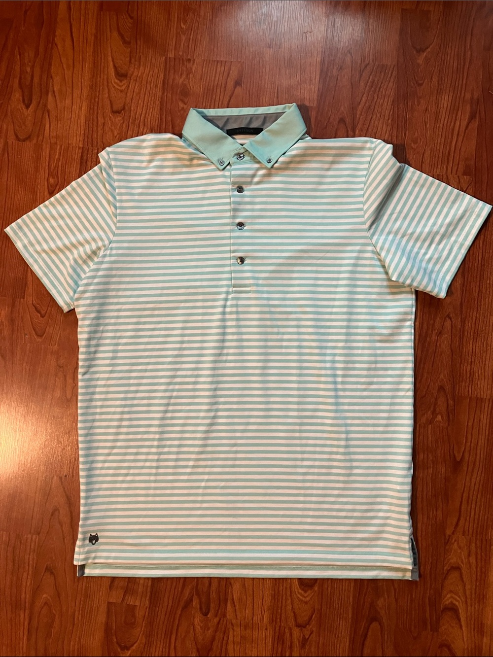 Men's Light Mint Striped Polo Shirt